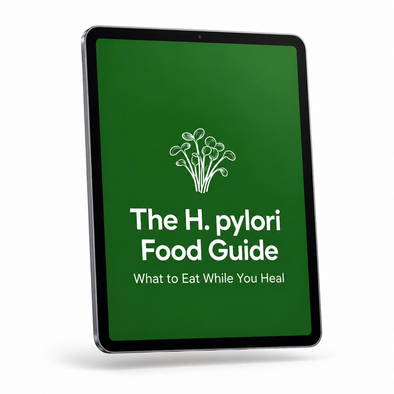 H. Pylori Food Digital Guide